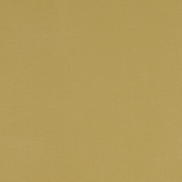 Clarke & Clarke Alora Chartreuse Fabric