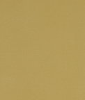 Clarke & Clarke Alora Chartreuse Fabric