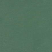 Clarke & Clarke Alora Leaf Fabric