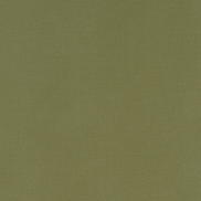 Clarke & Clarke Alora Moss Fabric