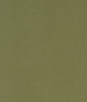 Clarke & Clarke Alora Moss Fabric