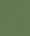 Clarke & Clarke Alora Palm Fabric