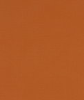 Clarke & Clarke Alora Spice Fabric