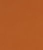 Clarke & Clarke Alora Spice Fabric