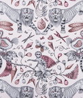 Clarke & Clarke Extinct Pink Fabric