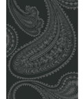 Cole & Son Rajapur Charcoal Black Fabric