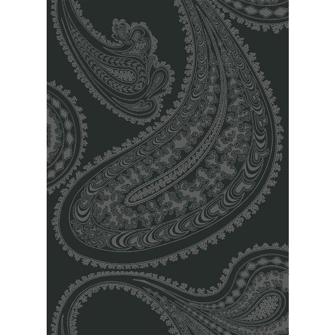 Cole &amp; Son Rajapur Charcoal Black Fabric