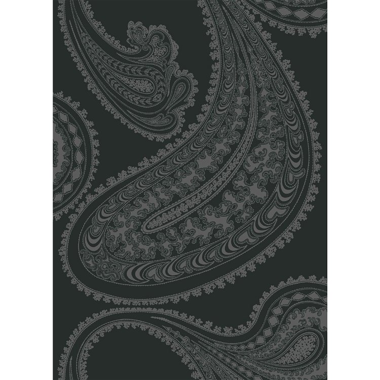 Cole & Son Rajapur Charcoal Black Fabric
