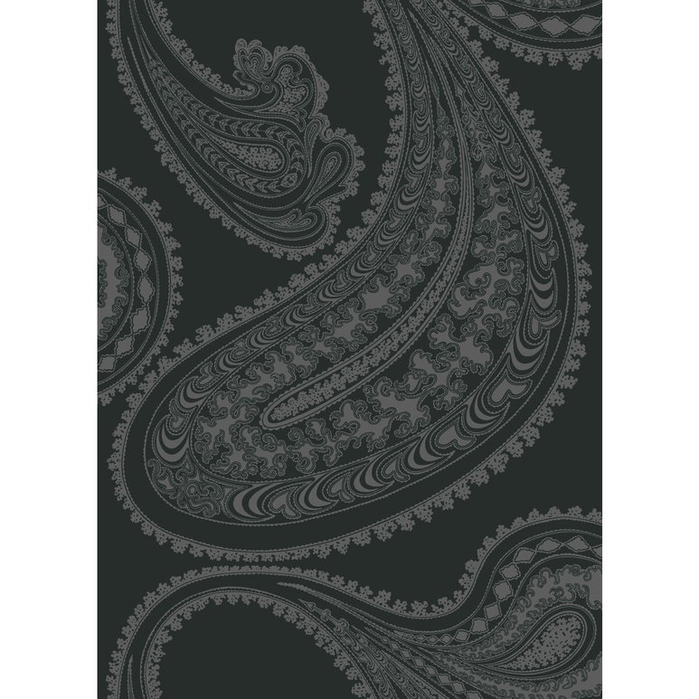 Cole &amp; Son Rajapur Charcoal Black Fabric