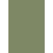 Cole & Son Colour Box Velvet Olive Green Fabric