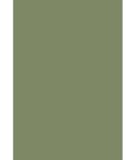 Cole & Son Colour Box Velvet Olive Green Fabric
