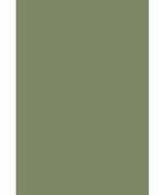 Cole & Son Colour Box Velvet Olive Green