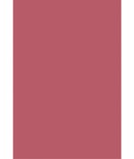 Cole & Son Colour Box Velvet Rose