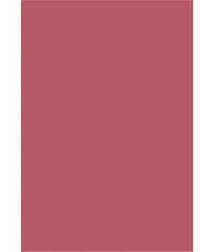 Cole & Son Colour Box Velvet Rose Fabric