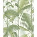Cole & Son Palm Jungle Olive Green On White Fabric