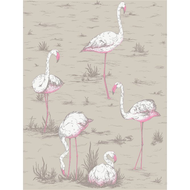 Cole &amp; Son Flamingos White/Fuchsia On Tup Fabric