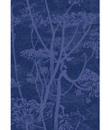 Cole & Son Cow Parsley Hyacinth & Ink Fabric