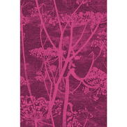 Cole & Son Cow Parsley Magenta Plum Fabric