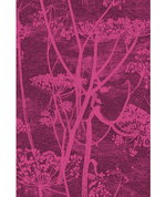 Cole & Son Cow Parsley Magenta Plum