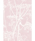 Cole & Son Cow Parsley White Ballet Slip Fabric