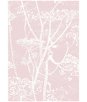 Cole & Son Cow Parsley White Ballet Slip Fabric