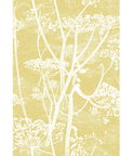 Cole & Son Cow Parsley White & Chartreuese Fabric
