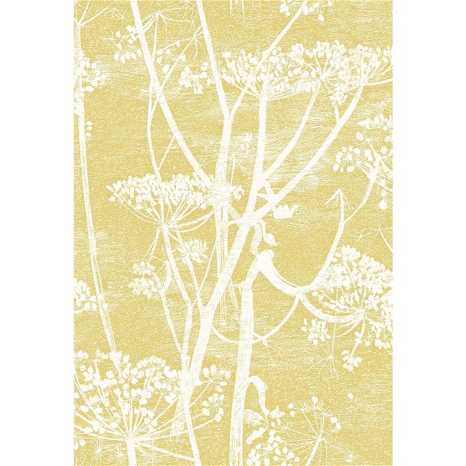 Cole &amp; Son Cow Parsley White &amp; Chartreuese Fabric