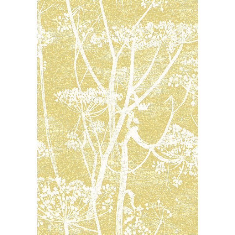 Cole & Son Cow Parsley White & Chartreuese Fabric