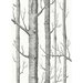 Cole & Son Woods Black/White Fabric