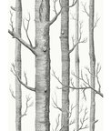 Cole & Son Woods Black/White Fabric