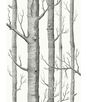 Cole & Son Woods Black/White Fabric