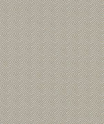 Clarke & Clarke Mercury Linen