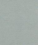 Clarke & Clarke Nebula Duckegg Fabric