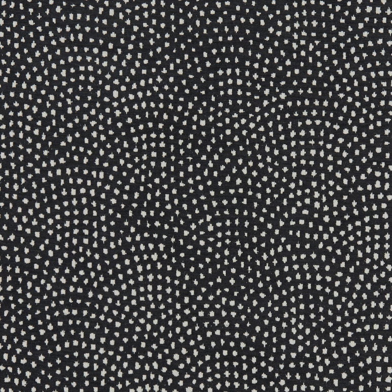Clarke &amp; Clarke Nebula Noir Fabric