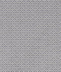 Clarke & Clarke Orbit Charcoal Fabric