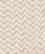 Clarke & Clarke Ashmore Blush