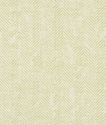 Clarke & Clarke Ashmore Citron