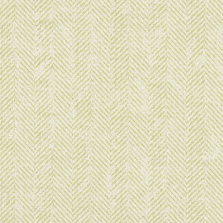 Clarke &amp; Clarke Ashmore Citron Fabric