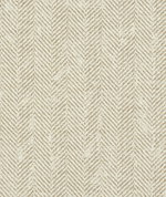 Clarke & Clarke Ashmore Natural