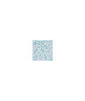 Clarke & Clarke Trawler Aqua Fabric