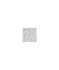 Clarke & Clarke Trawler Grey Fabric