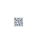 Clarke & Clarke Trawler Navy Fabric