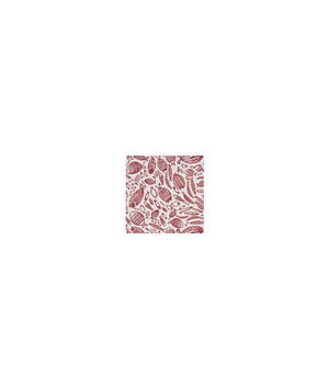 Clarke & Clarke Trawler Red Fabric