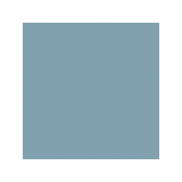 Cole & Son Color Box Velvet Hydrangea Fabric