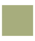 Cole & Son Color Box Velvet Sage Fabric