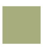 Cole & Son Color Box Velvet Sage Fabric
