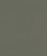 Clarke & Clarke Renzo Charcoal