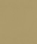 Clarke & Clarke Renzo Ochre Fabric