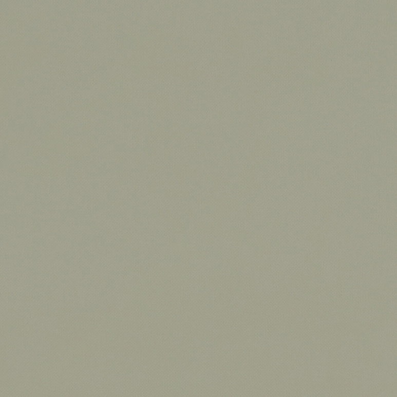 Clarke &amp; Clarke Renzo Sage Fabric