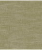Clarke & Clarke Amalfi Moss Fabric